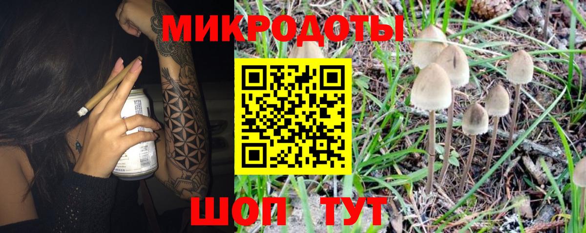 Галлюциногенные грибы ЛСД Заволжье