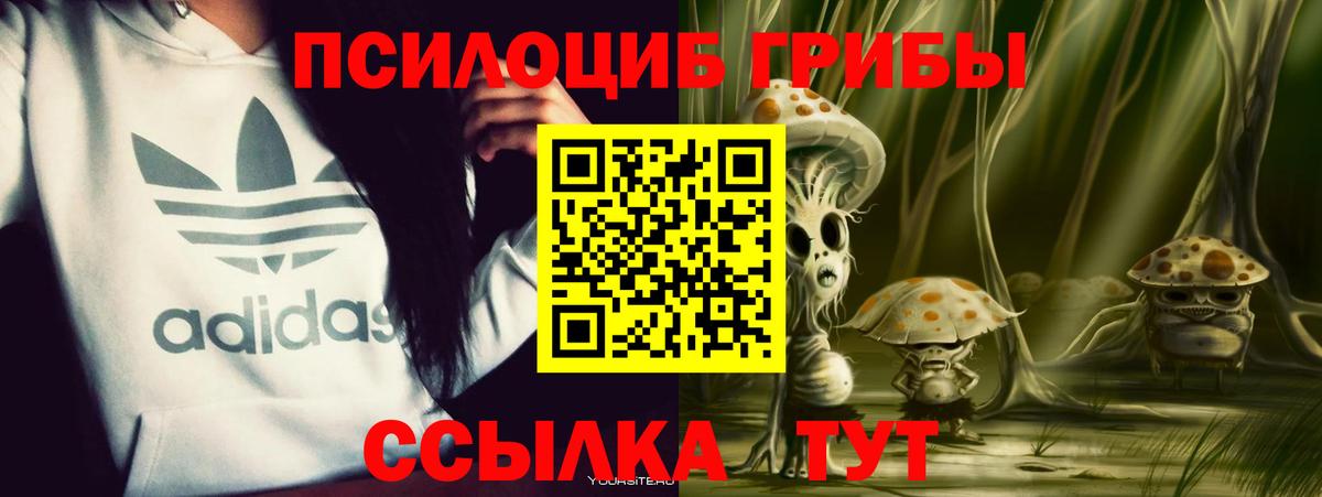 Галлюциногенные грибы GOLDEN TEACHER  Вход с VPN  Заволжье  Галлюциногенные грибы мухоморы 